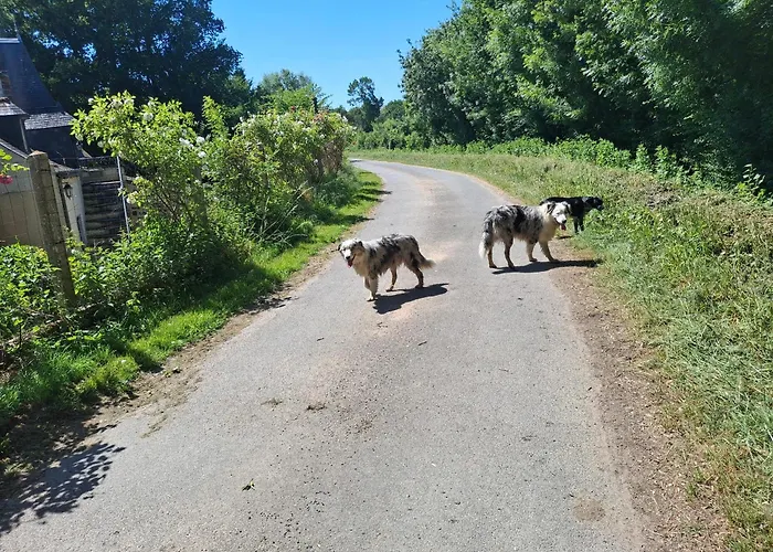 Le Mouton