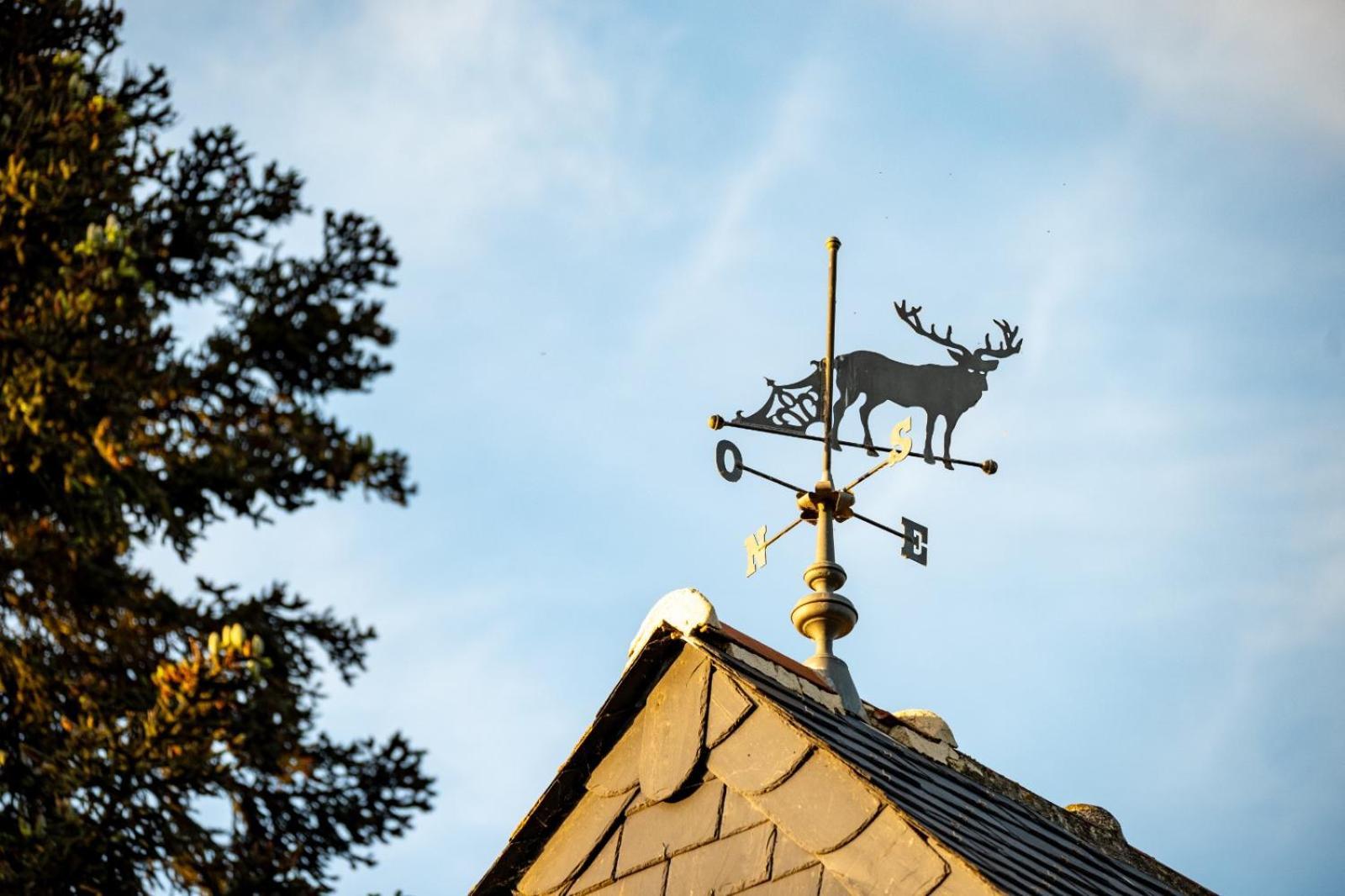 Le Mouton Bed & Breakfast 2*