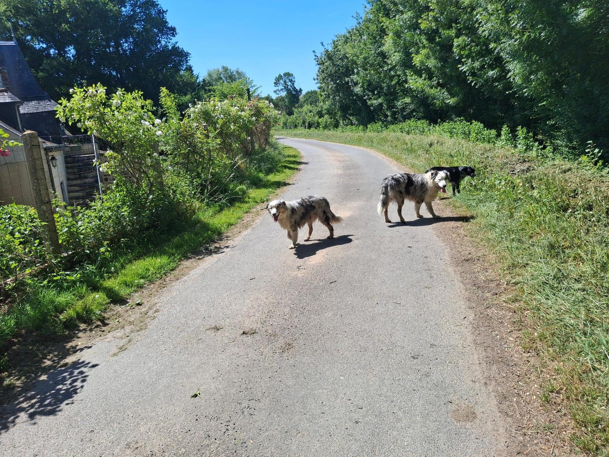 Le Mouton 2*