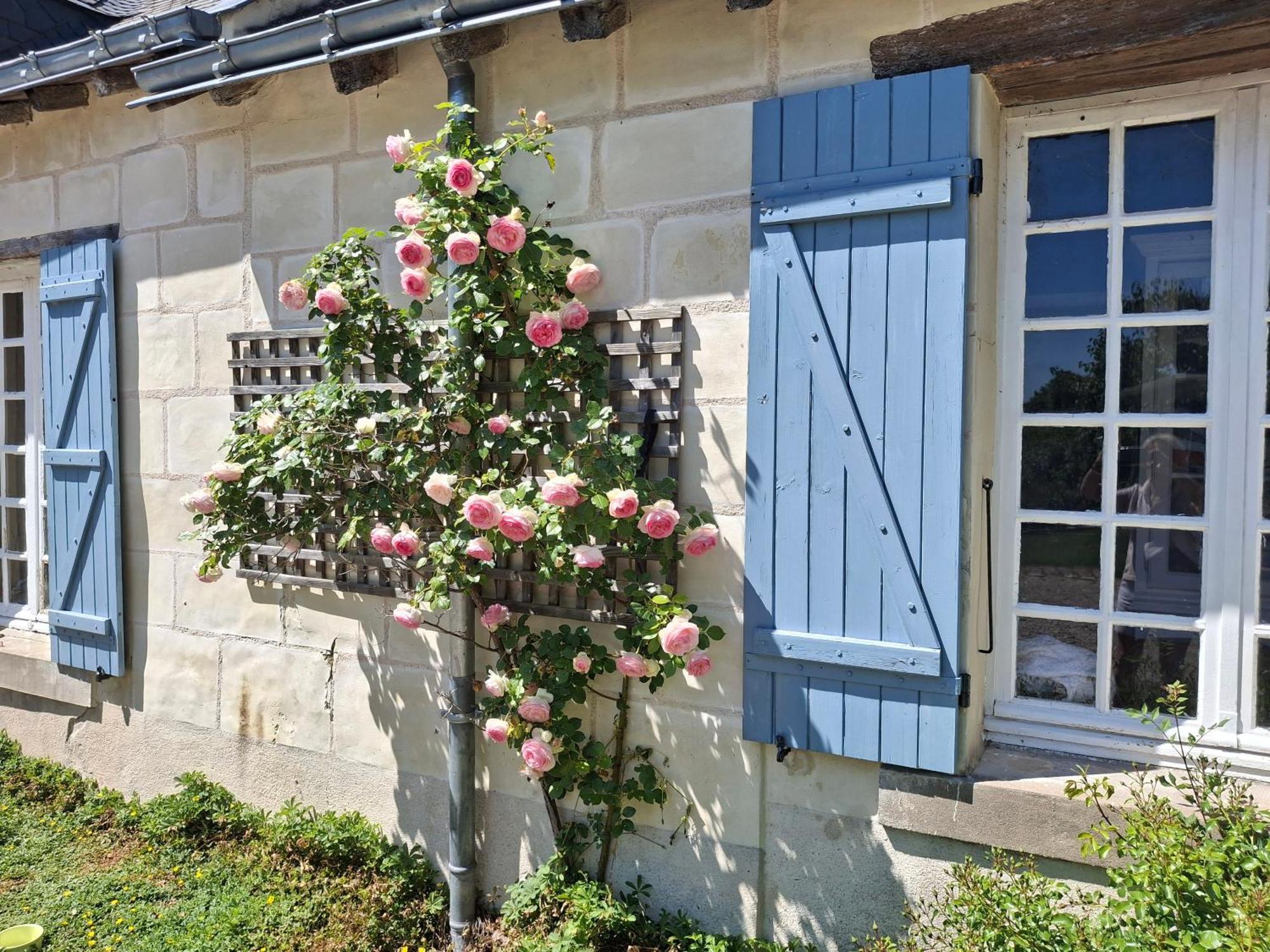 Le Mouton Blaison