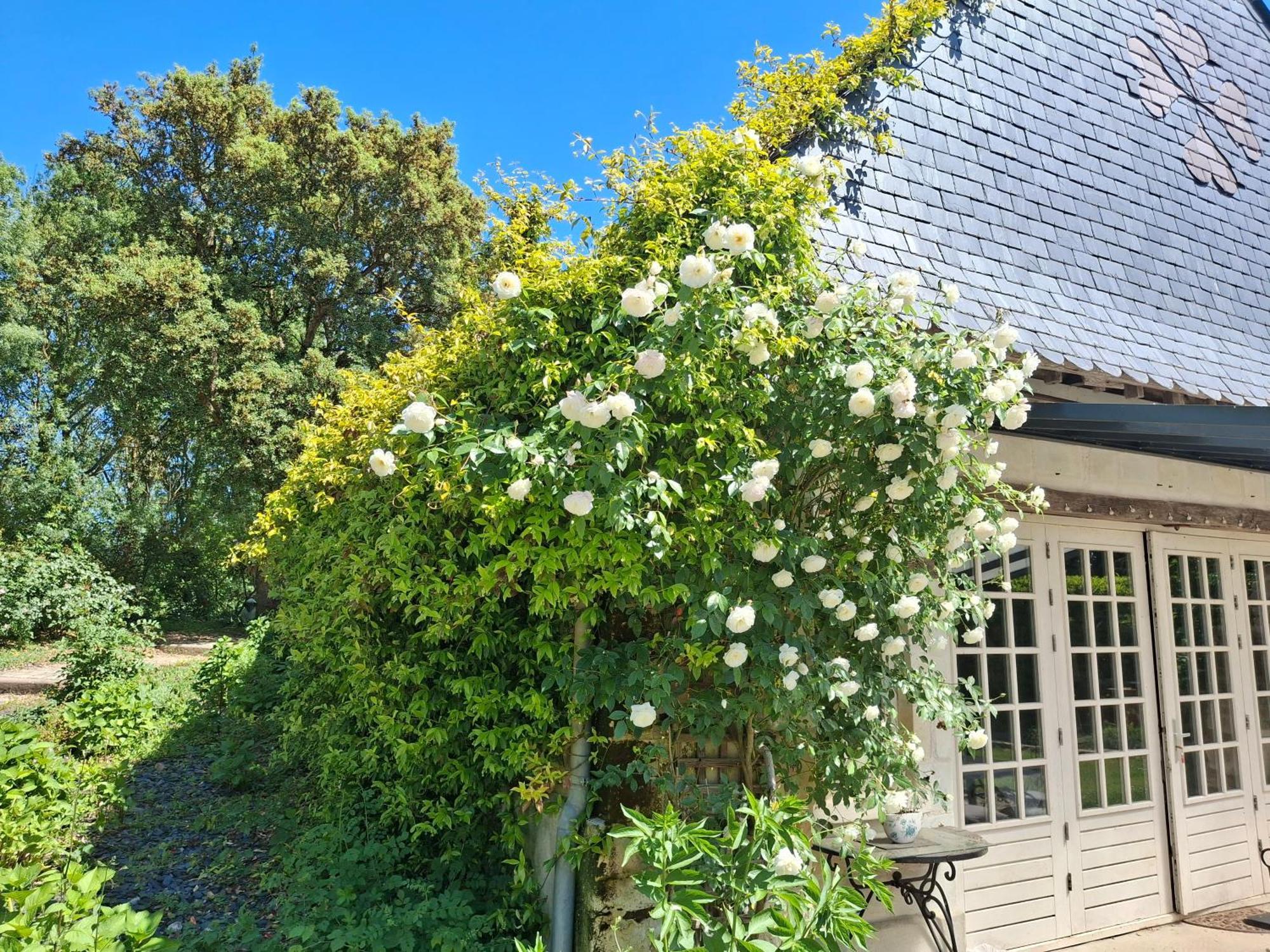 Le Mouton Bed & Breakfast 2*