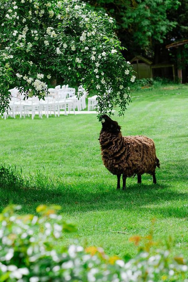 Bed & Breakfast Le Mouton Blaison